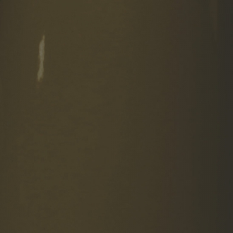 RAL 8019
